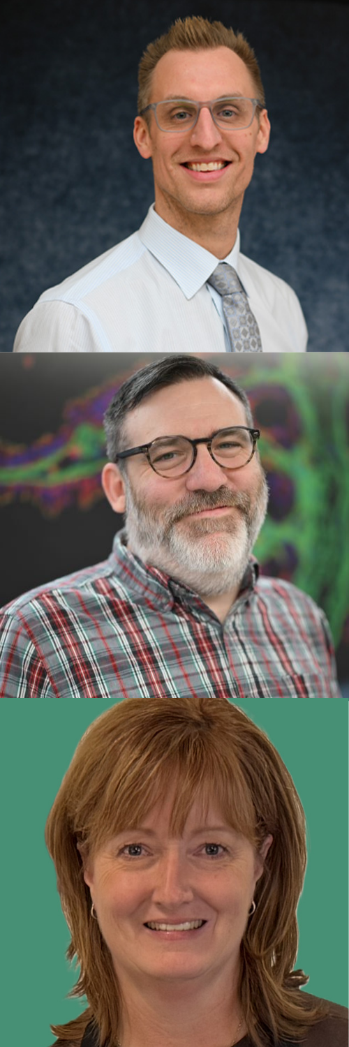 Steve Doerflinger, Brian Tapp, and Jane Ferguson